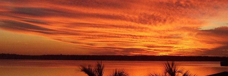 DWilliamson55's profile banner image