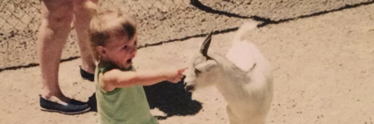 snikoled's profile banner image