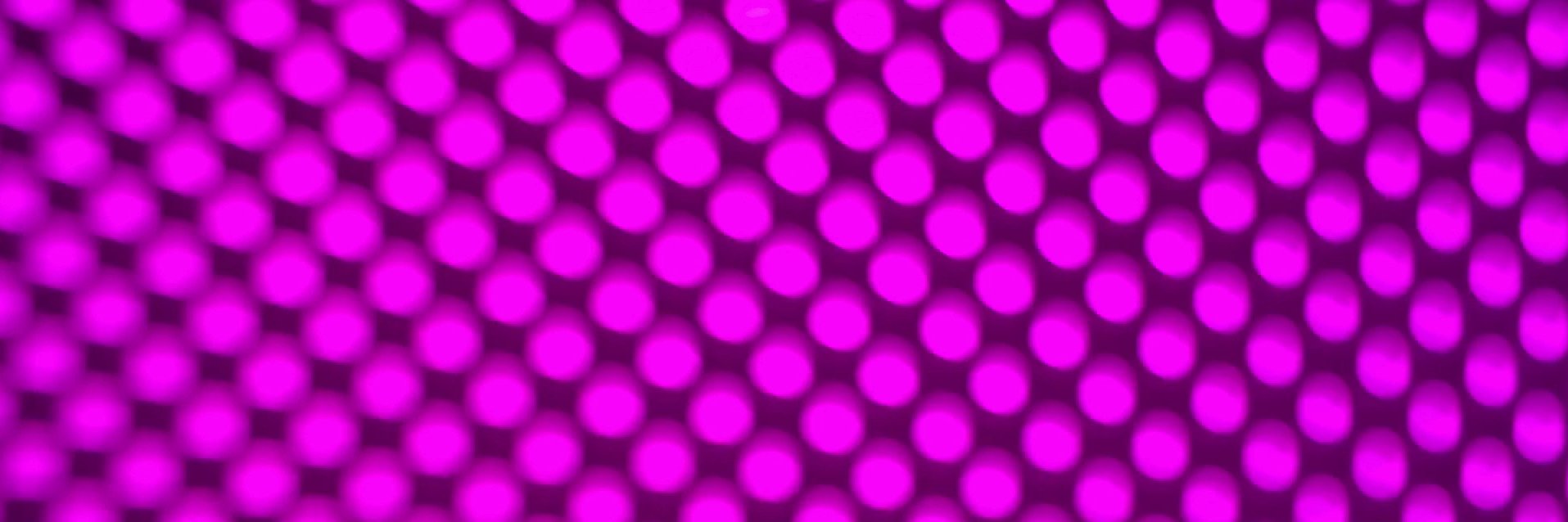 plantprogress's profile banner image