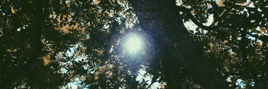 alexaasher's profile banner image
