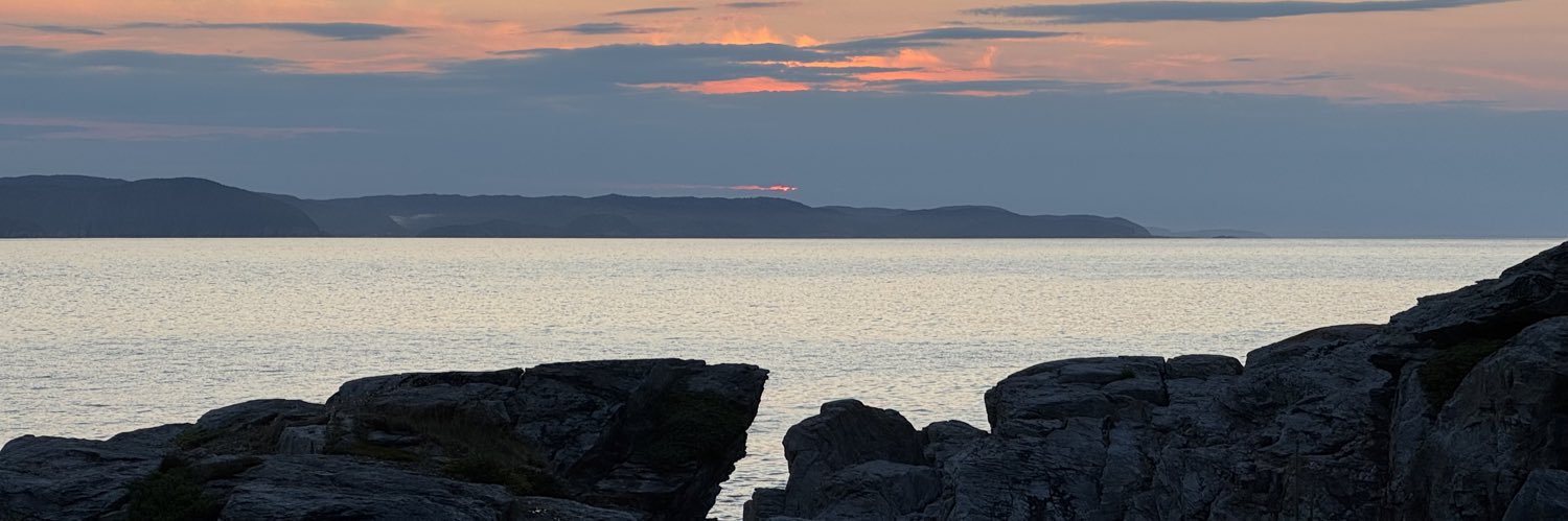 Chantal Mancini, PhD banner