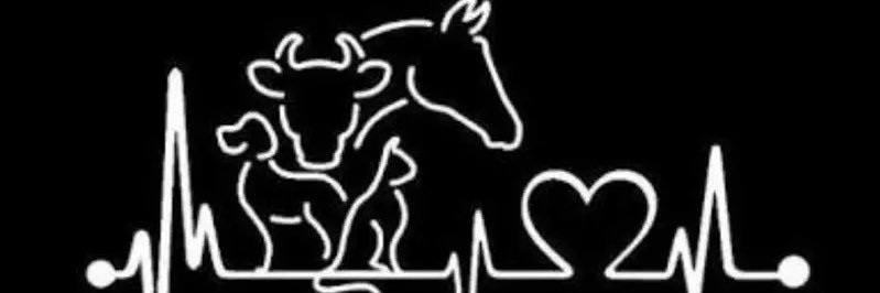 kuzeyklc1907's profile banner image