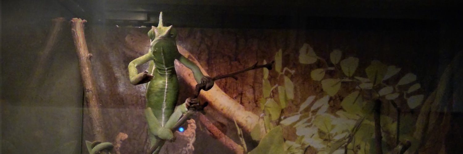 simotajan's profile banner image
