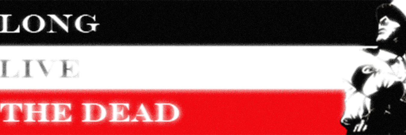Axis Freedom Brigade banner
