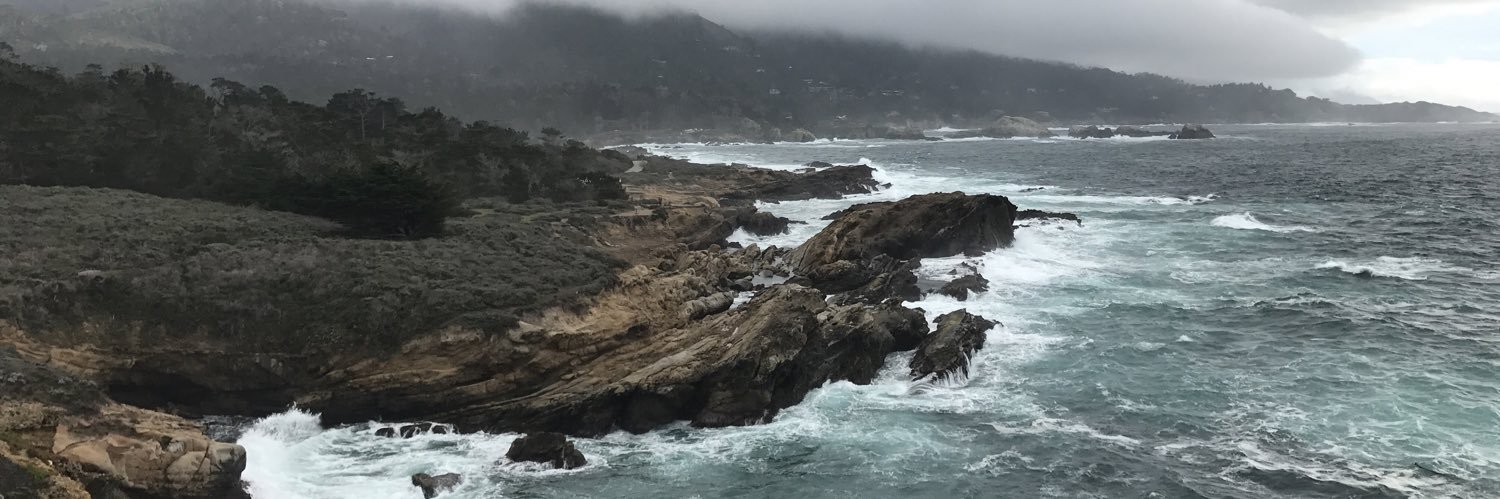pettyghosts's profile banner image