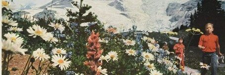 thomassmart97's profile banner image