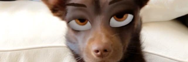 Chiara C. Santamaria banner