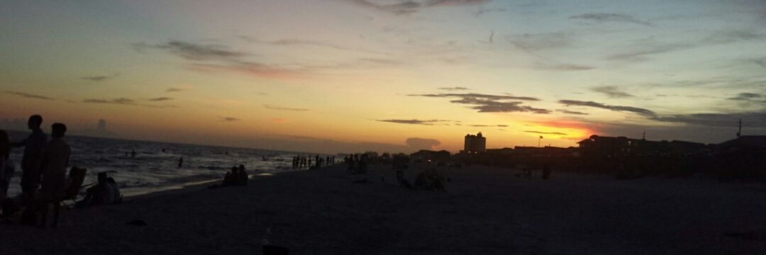 Callie DeMasters banner