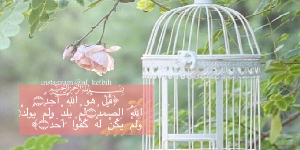 yaa_aallah's profile banner image