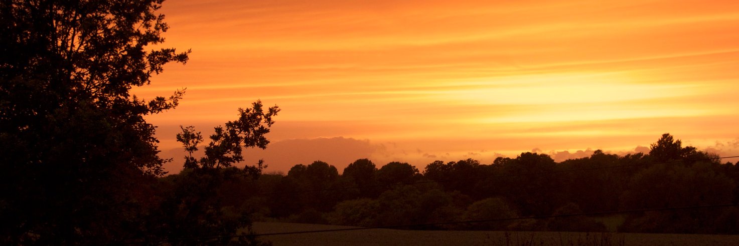 David Hayling banner