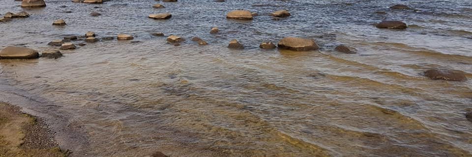 Dace Balode 🇱🇻🇺🇦 banner