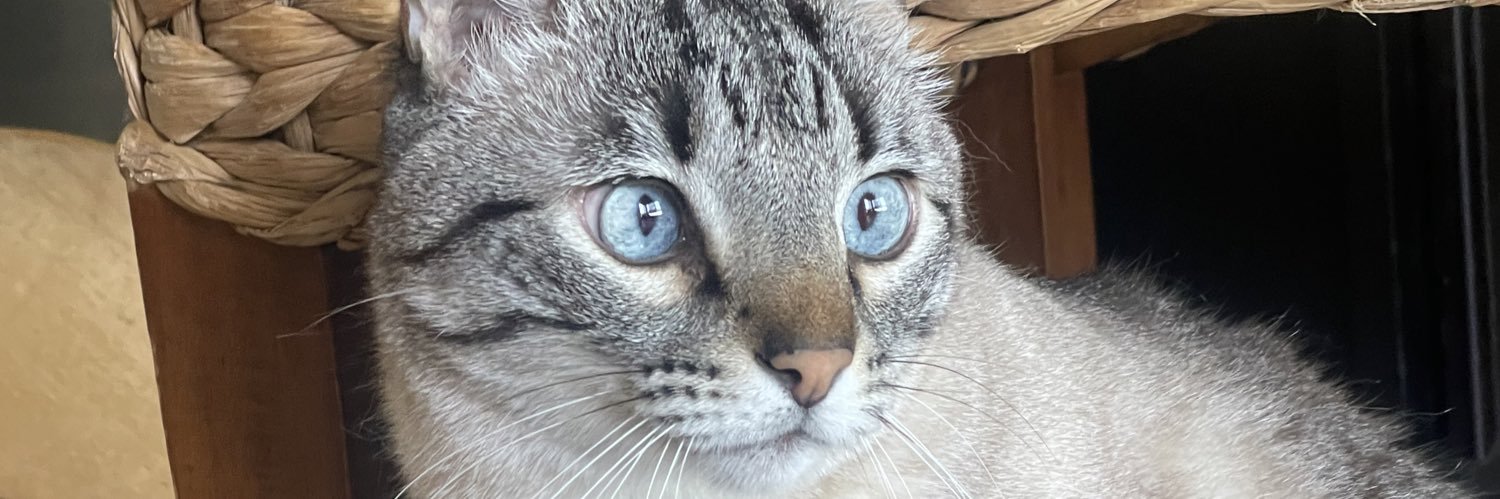 oscarteluo's profile banner image