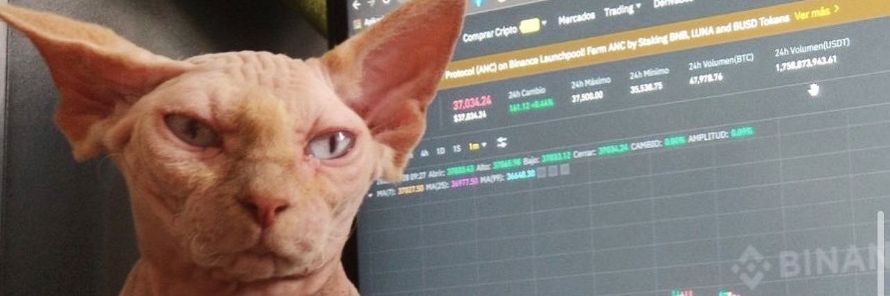 Santlaurens's profile banner image