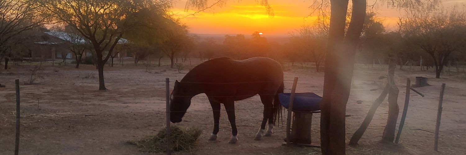 Roke 😉 ( Charango ) banner