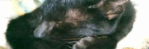 jyun2009 Profile Banner