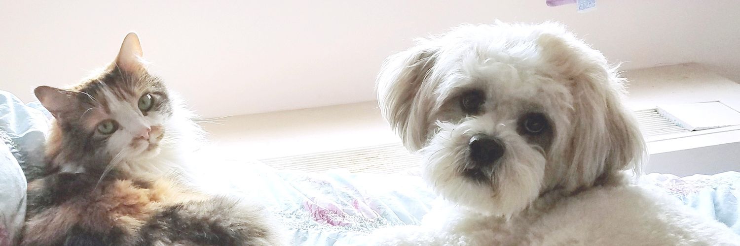 jaimskii's profile banner image