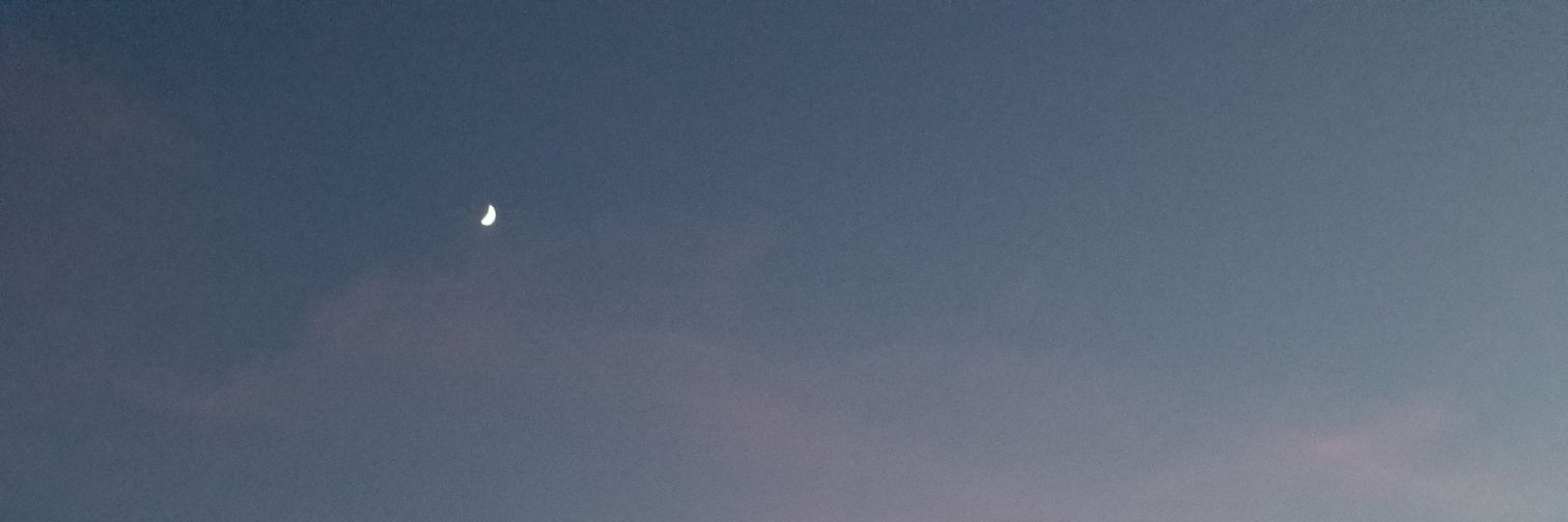 Diana De León Quast banner