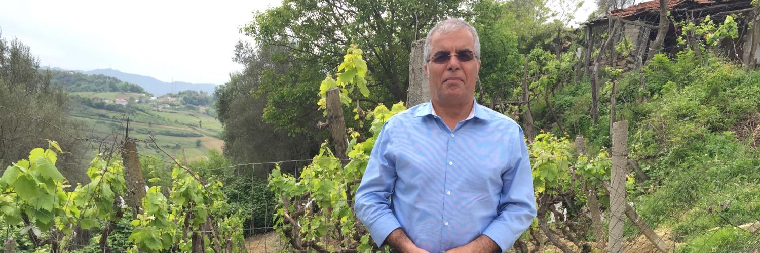 mehdi garmroudi banner