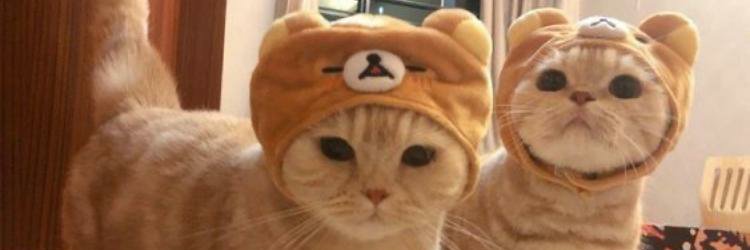 FabryJM's profile banner image