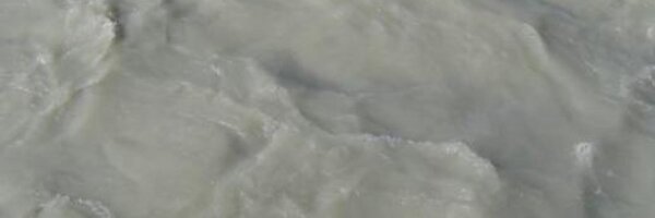 alisonkgerber Profile Banner