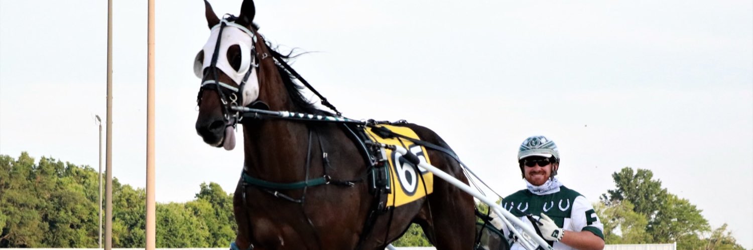 JFoxStable's profile banner image