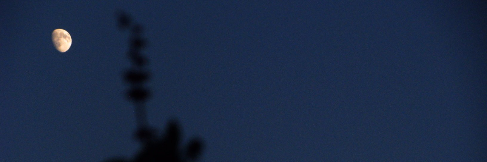 RafaCayuela's profile banner image
