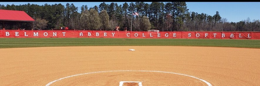 Abbey Softball banner