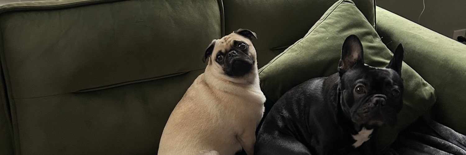 breeIucas's profile banner image