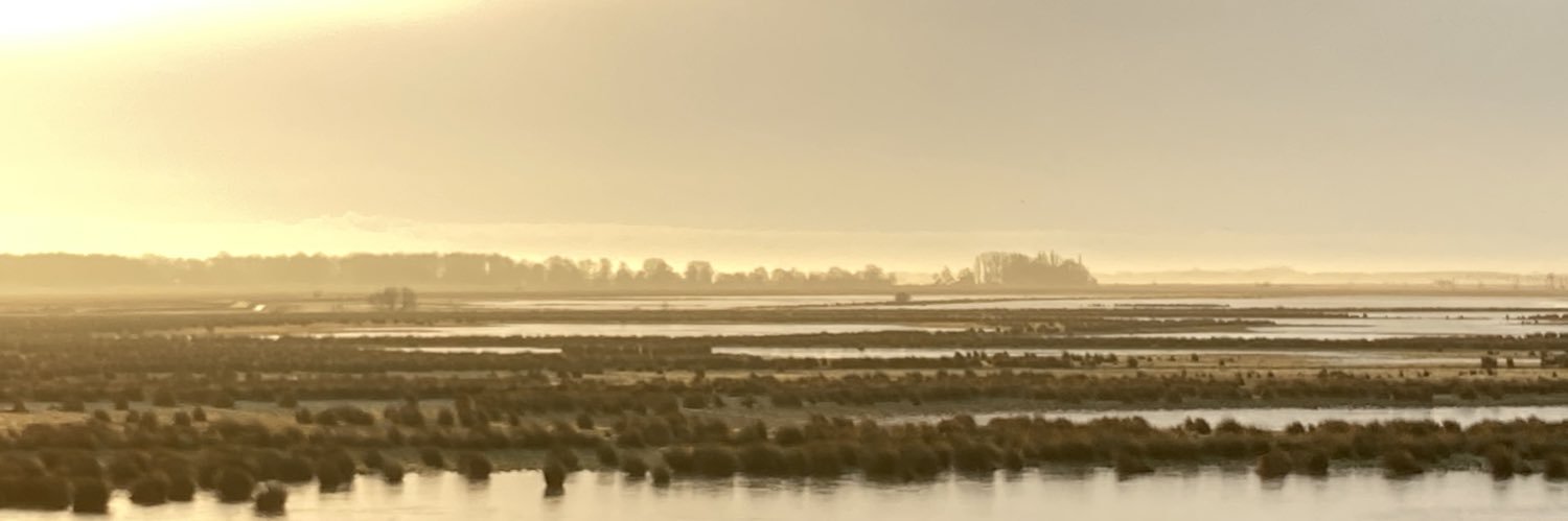 Nolda Tipping banner