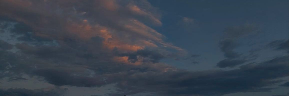 neeylx's profile banner image