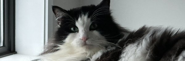 BielskiJonathan Profile Banner