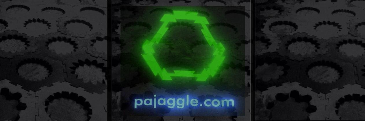 pajaggle's profile banner image