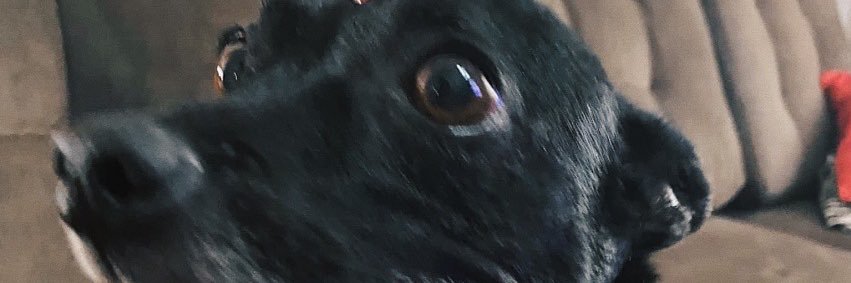 xisburg's profile banner image