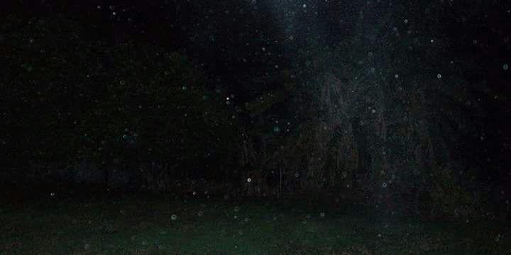 Ludulo's profile banner image