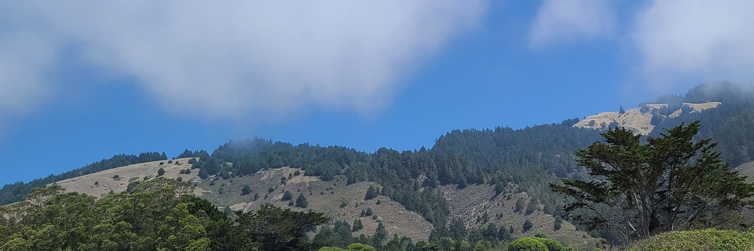 Magdalitena's profile banner image