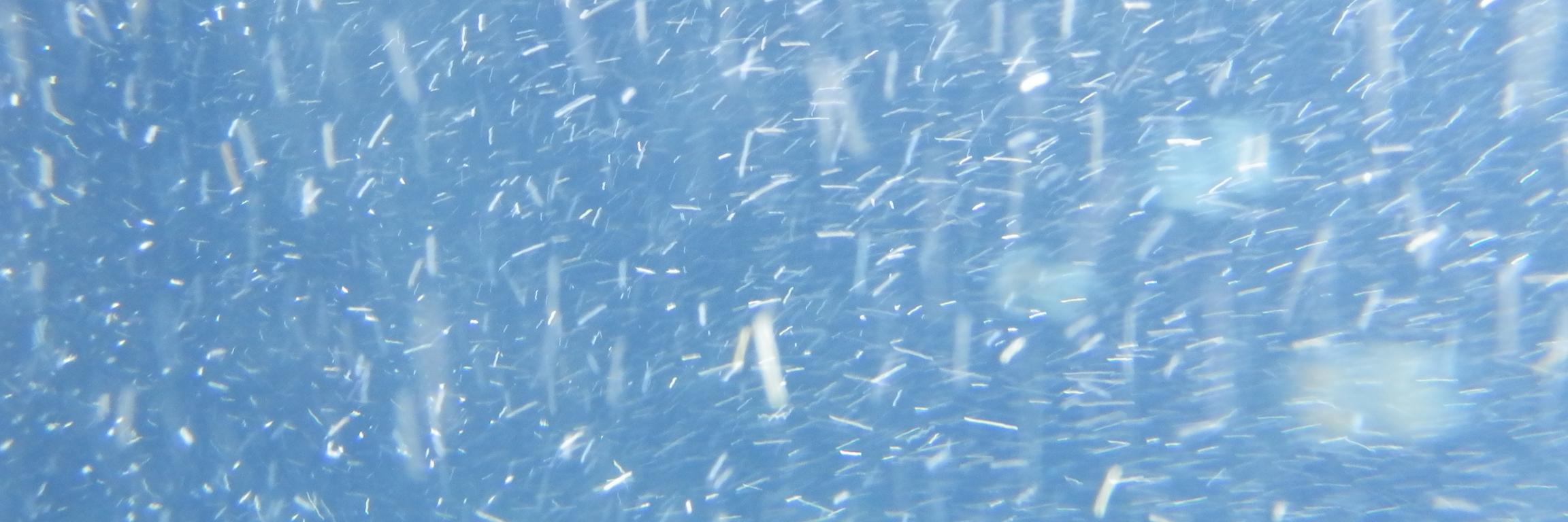 Andrew Walker🌻 banner