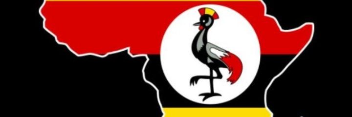 dejaypeter256's profile banner image