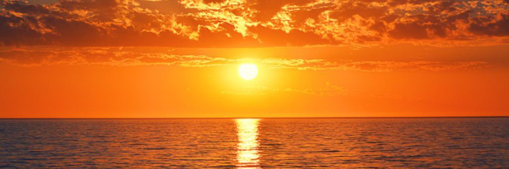 kelley steadman banner