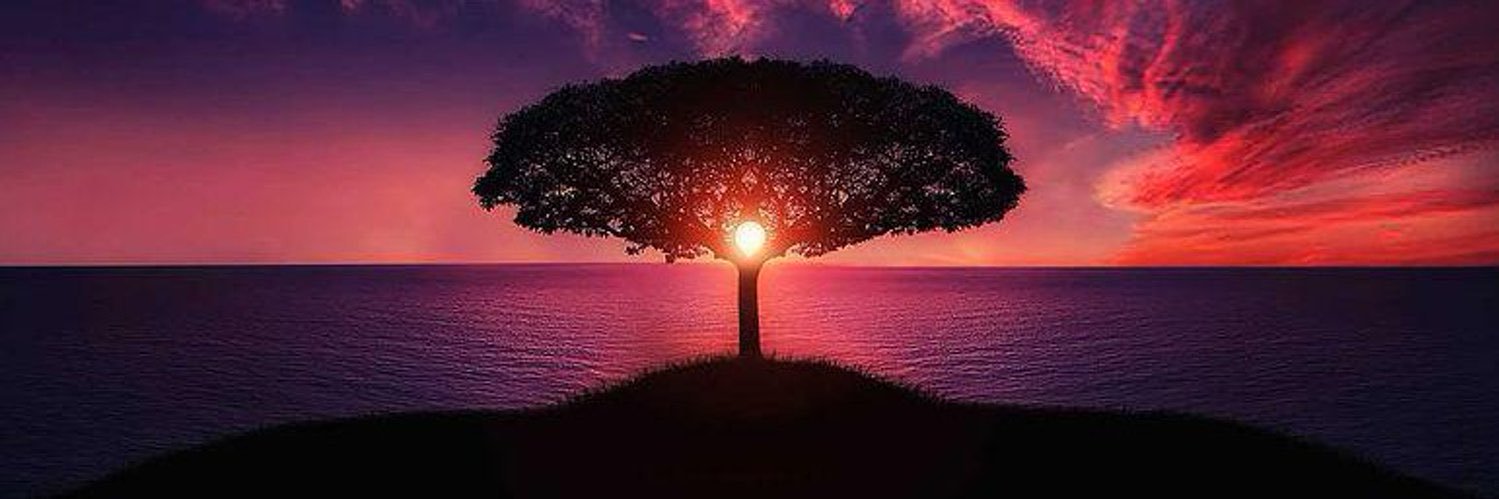 sameer_maleek's profile banner image