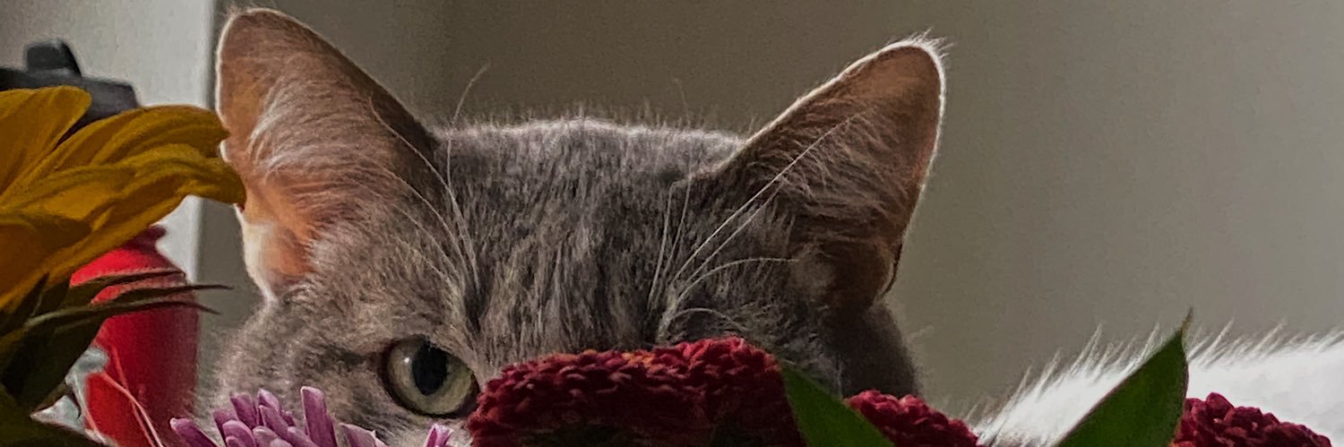 jathomas0's profile banner image