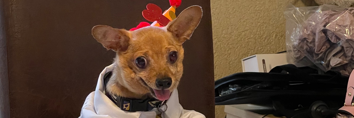 AlexaHydrogen's profile banner image