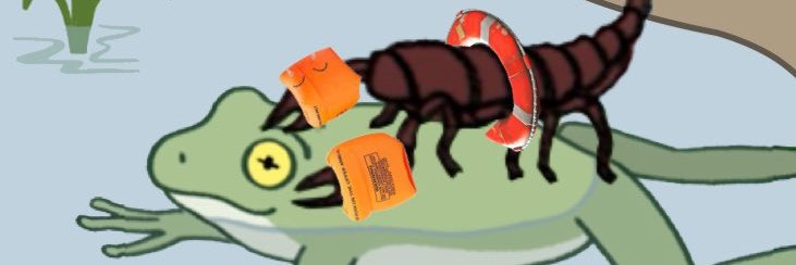 Low fat sweaty cat 🐬/acc's banner