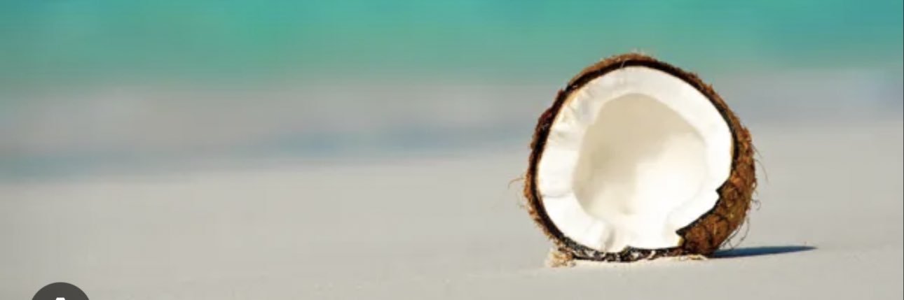 yoyoforcoconuts's profile banner image