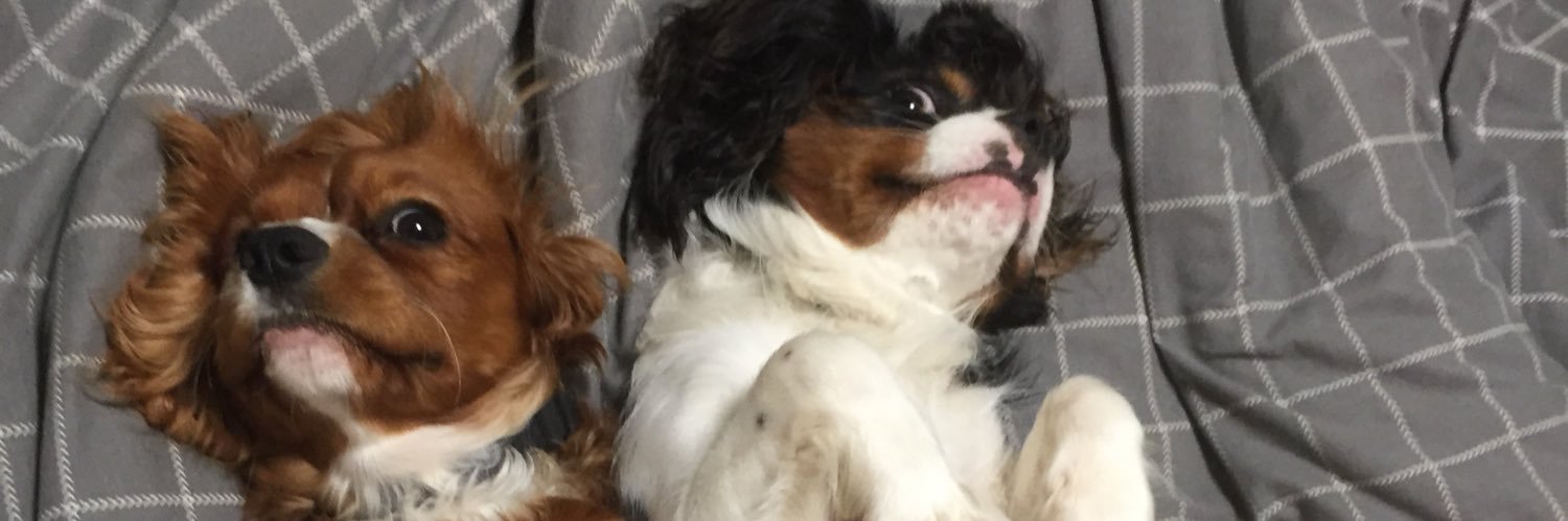 ernie🍔⚫️⚪️ 🪶 banner