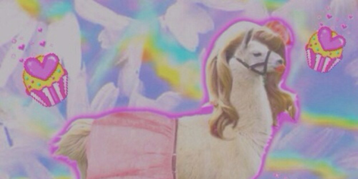 cuteheader_icon's profile banner image