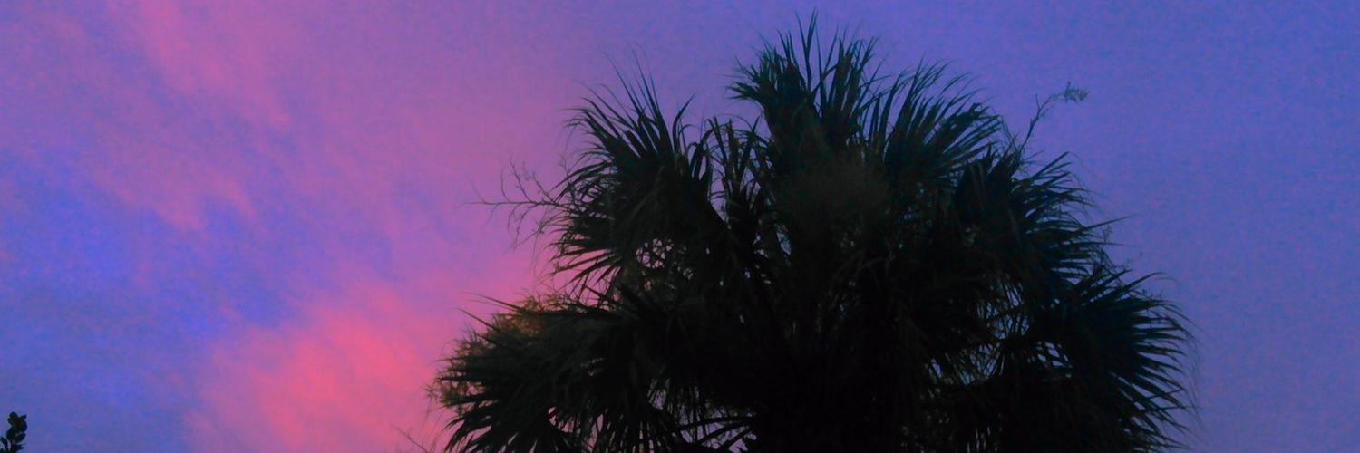 a_ervy's profile banner image