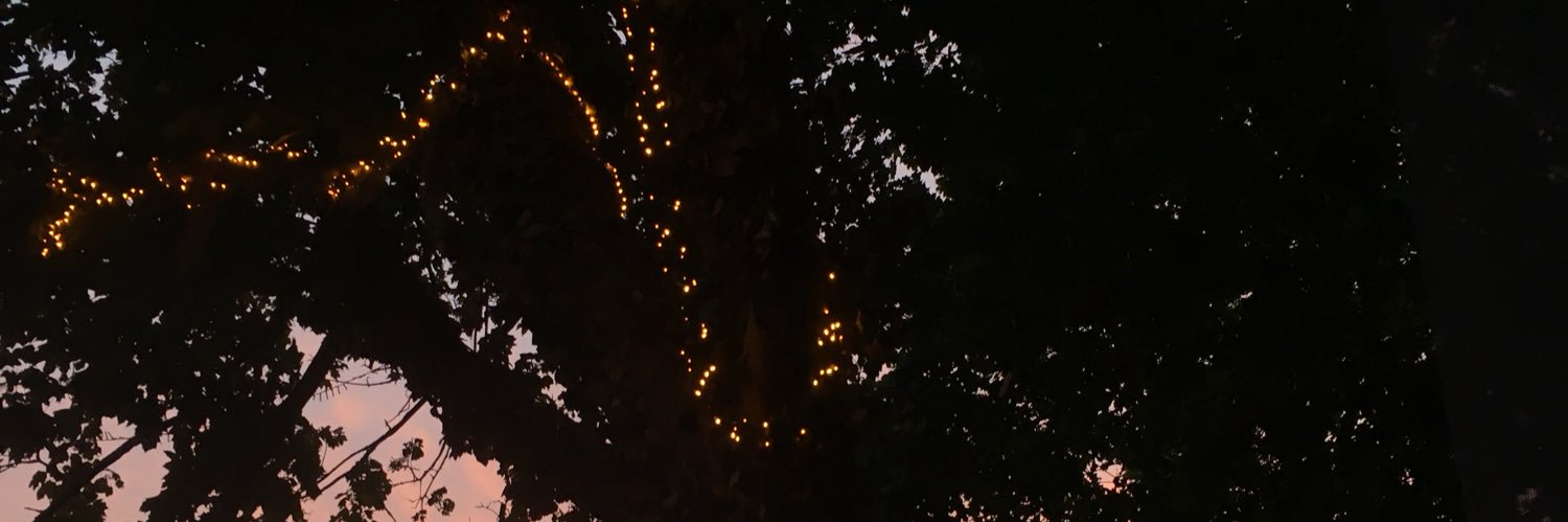 dyIanbaeberry's profile banner image