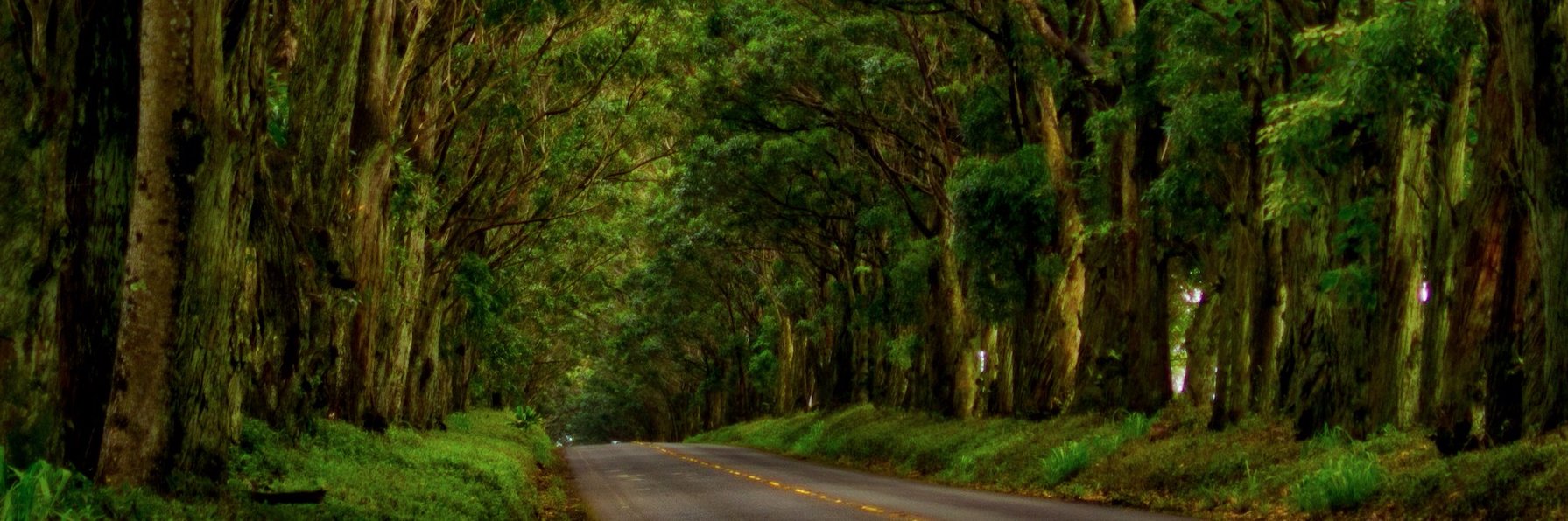 ryansmbsmartit's profile banner image