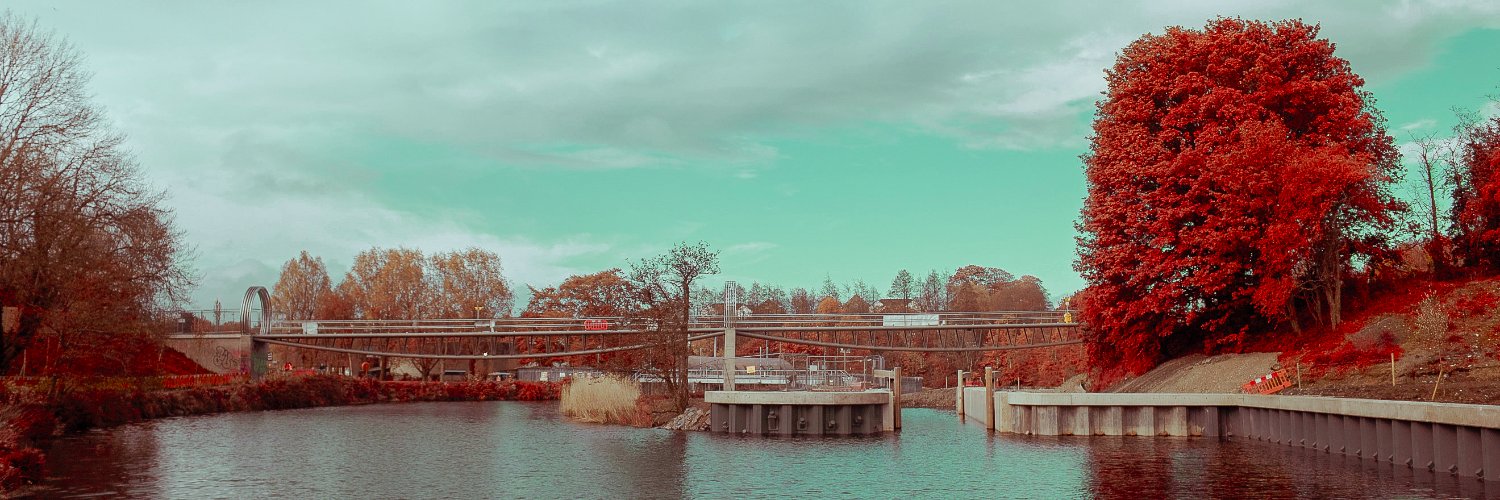 stephenbuggy's profile banner image