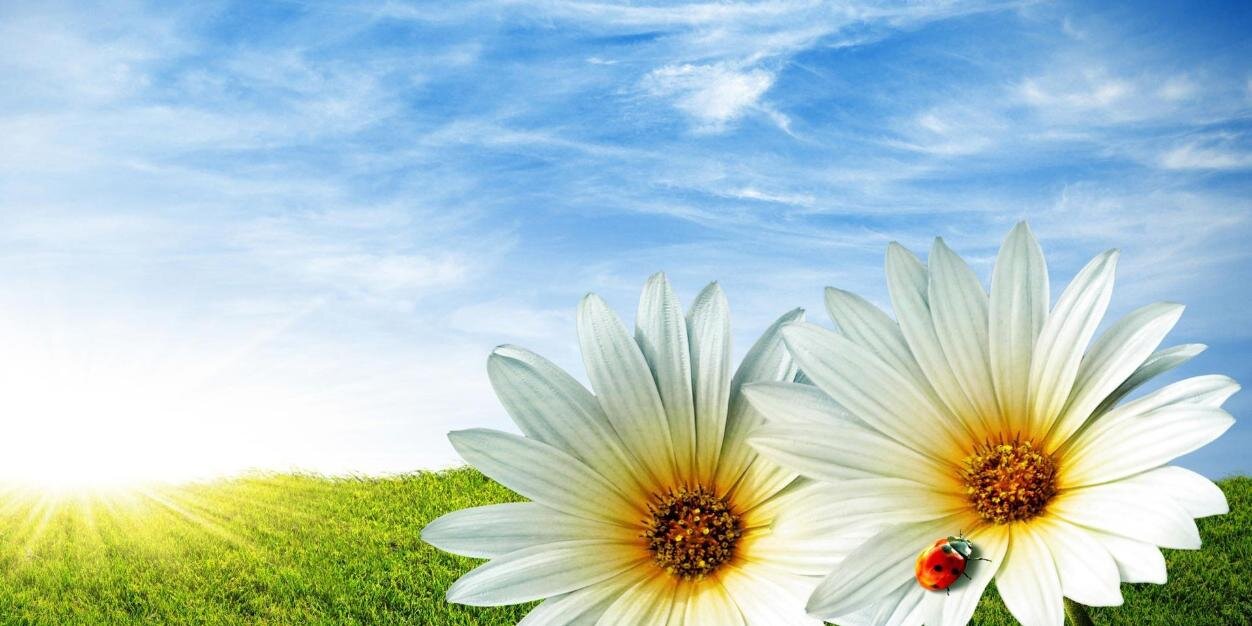 jmont0918's profile banner image